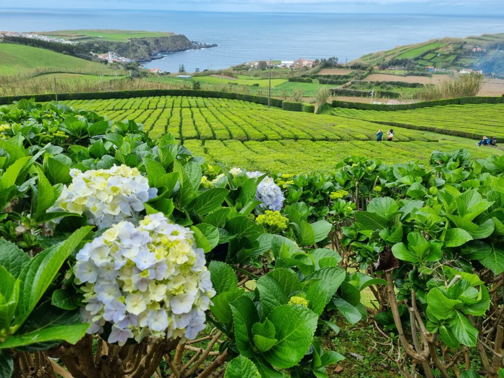 Porto Formoso
